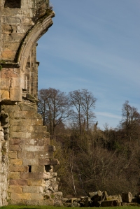 Bolton Abbey Ruins